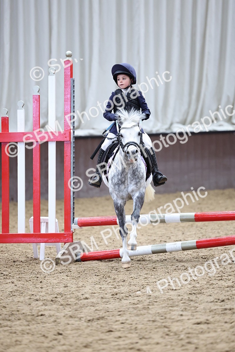 SBM_007386 - Class 2 - 50cm showjumping