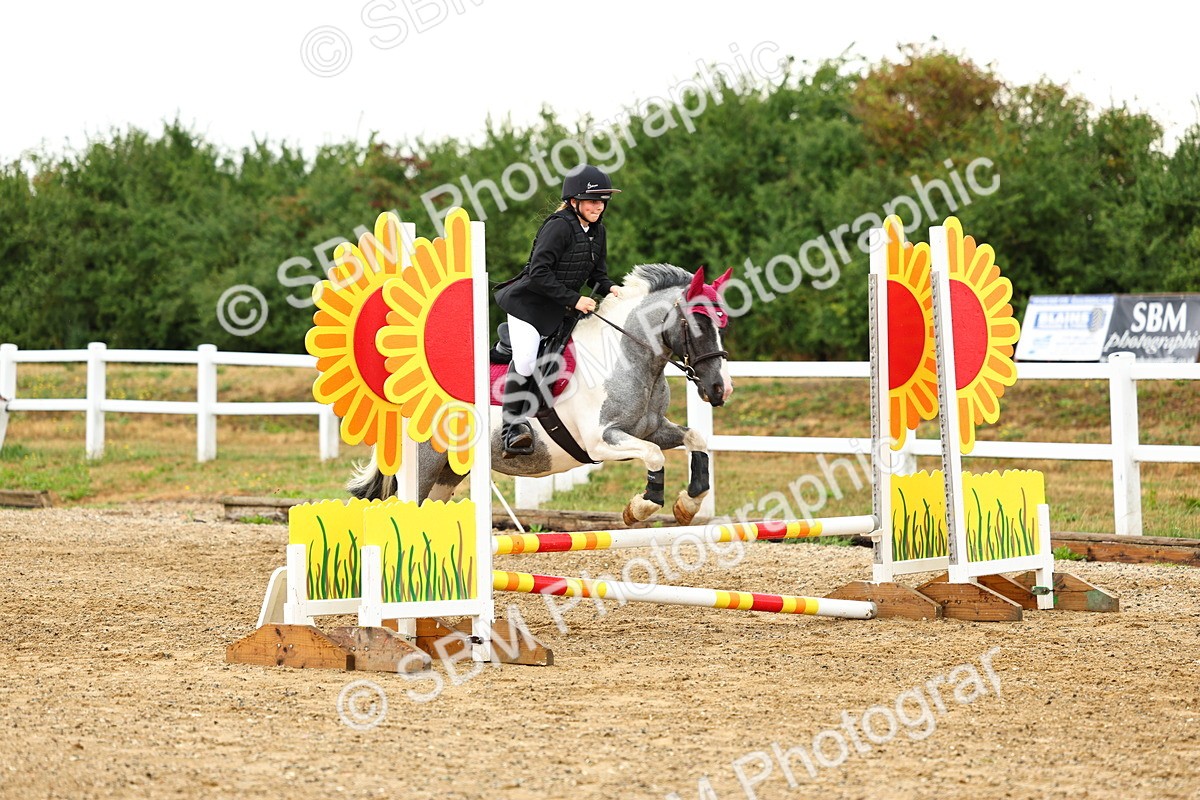 SBM_000267 - Class 3 - 60cm