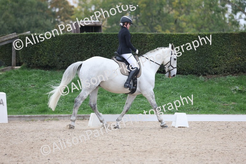 20251011-0444 - Class 4 - Novice 2