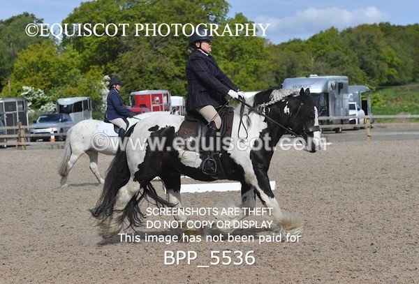 BPP_5536 - 4 L DENHOLM