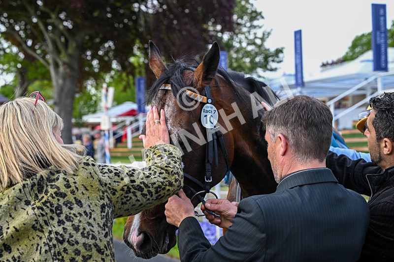 140526-Race 7-Arc Ole Ole-6226 - Race 7 5.15pm Frank Whittle Partnership Handicap