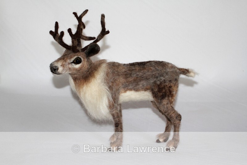 Reindeer. Photo 2. - Gallery