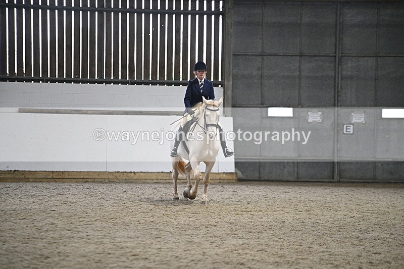 WJ7_3631 - Class 16 Ridden Coloured/ Odd Coloured