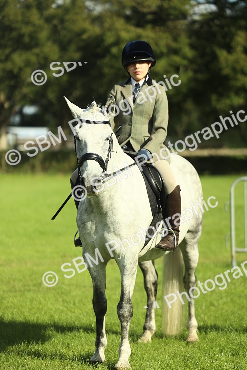 SBM_49828 - S32 - Novice & Newcomers Working Hunter