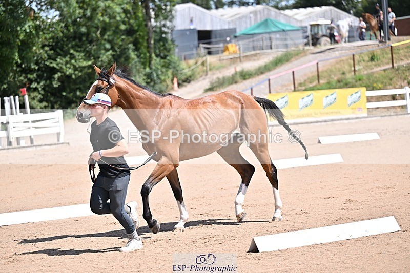 250716-123112-00034 - Trot Up 12.30 to 1.30