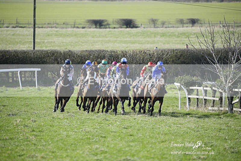 PtP 260222 35 - Kingston Blount Racing Club Point-to-Point 26/02/22