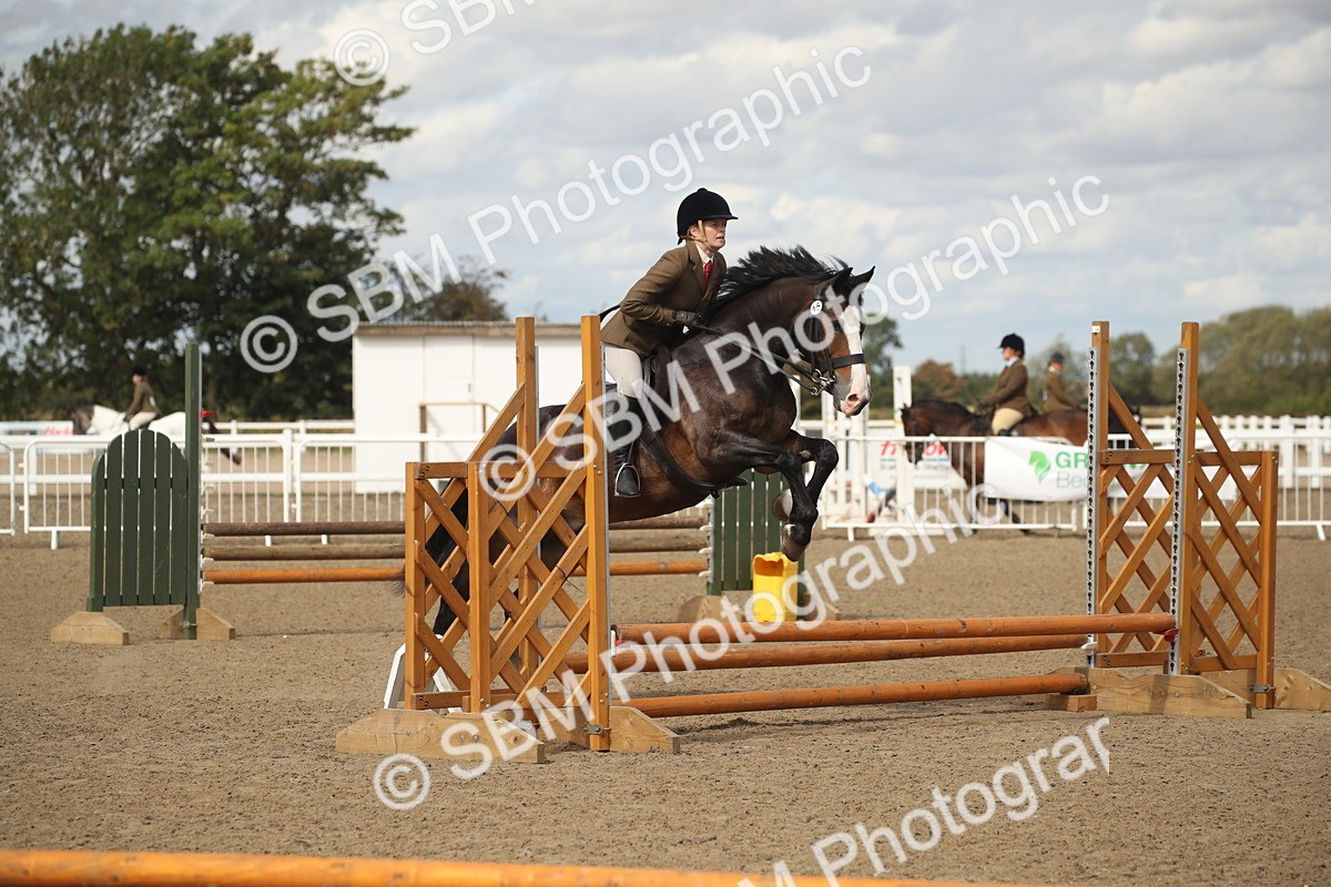 SBM_14509 - Class 505a - M&M Working Veteran - 50cm (15-19)