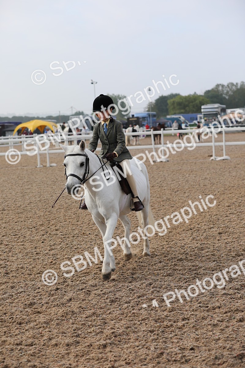 SBM_09650 - Class 301 Ridden M&M -Small Breeds