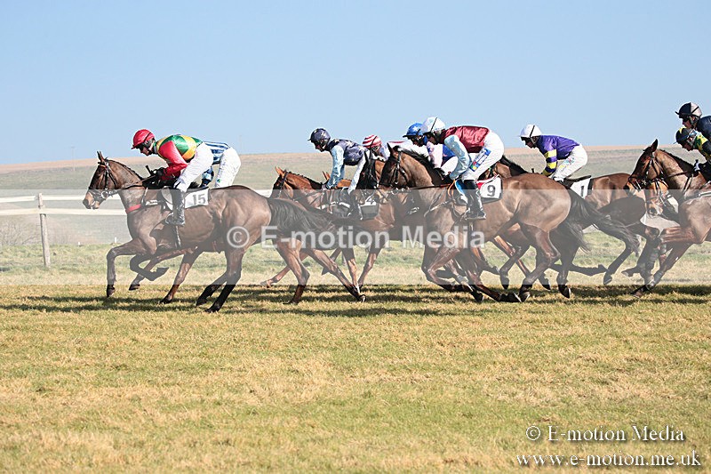 PtP 230219 70 - Vine & Craven Point-To-Point - Barbury 23/02/19