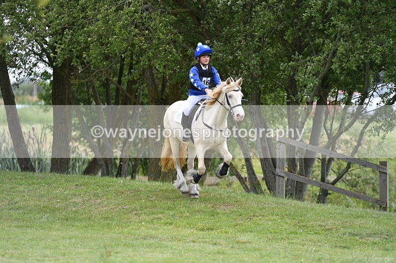 WJ5_2703 - Class 2 40cm