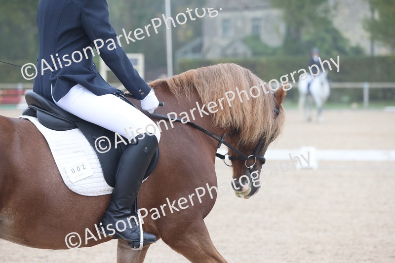 20251012-0009 - Class 1 - Prelim 5