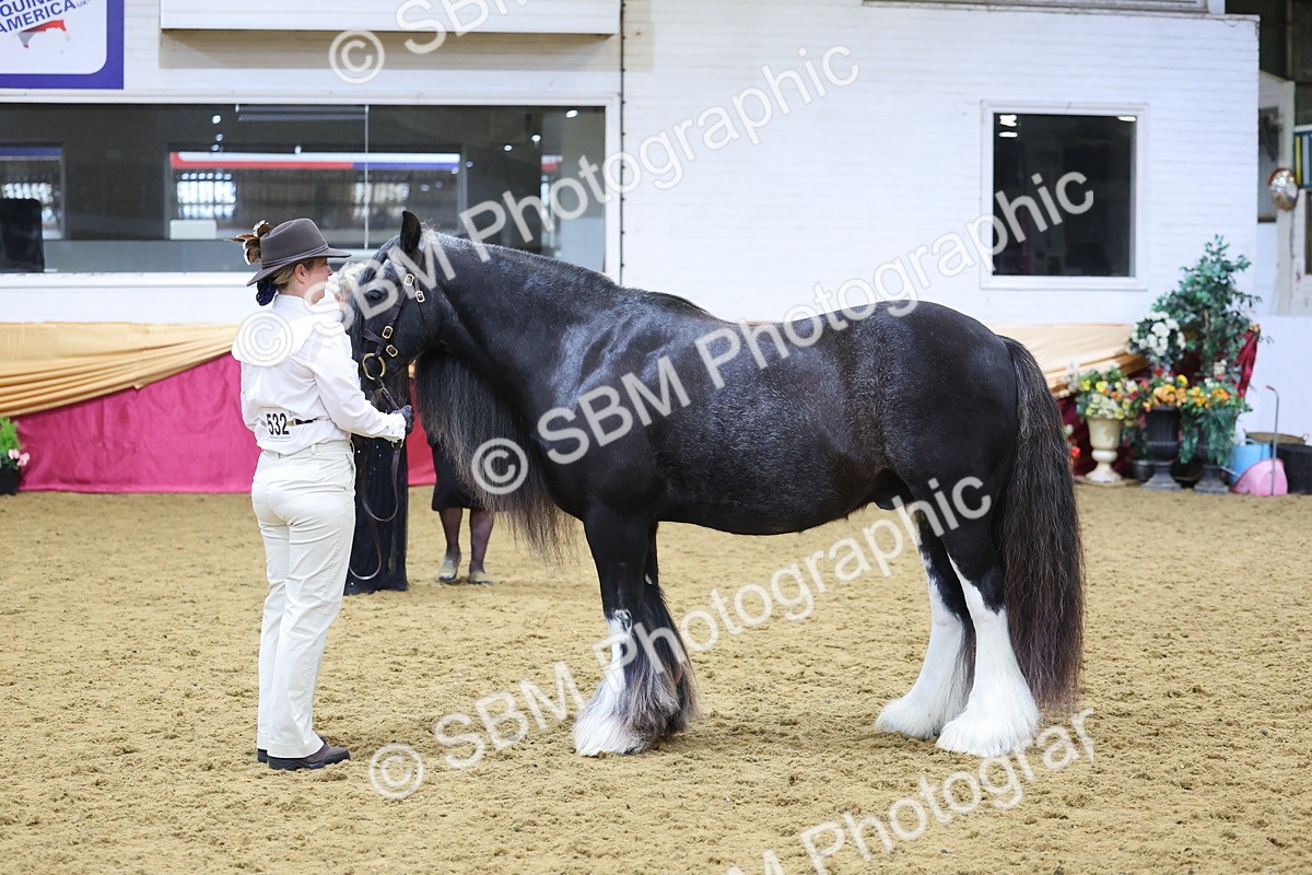 SBM_21038 - Class 902 - Supreme Final IH Veteran