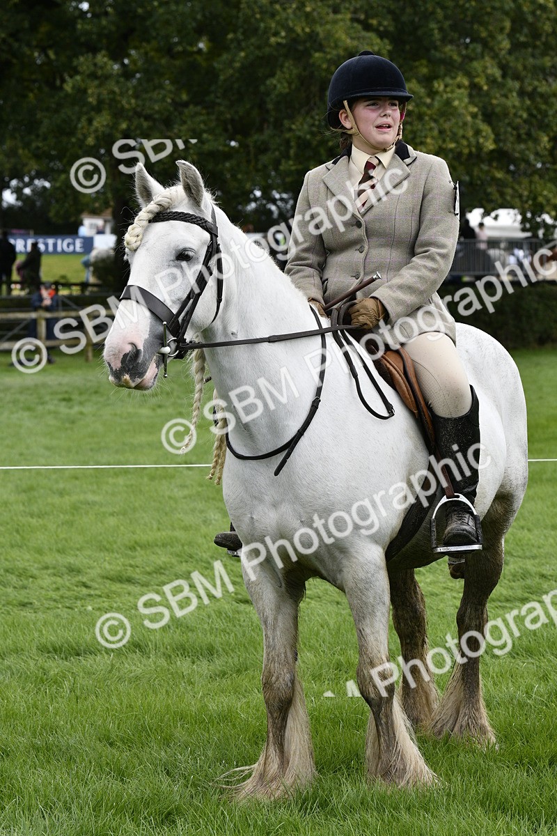 SBM_41603 - S32 - Mountain & Moorland Working Hunter Pony