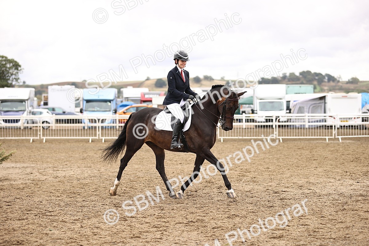 SBM_01424 - Class 54 - Riding Club Horse Pony