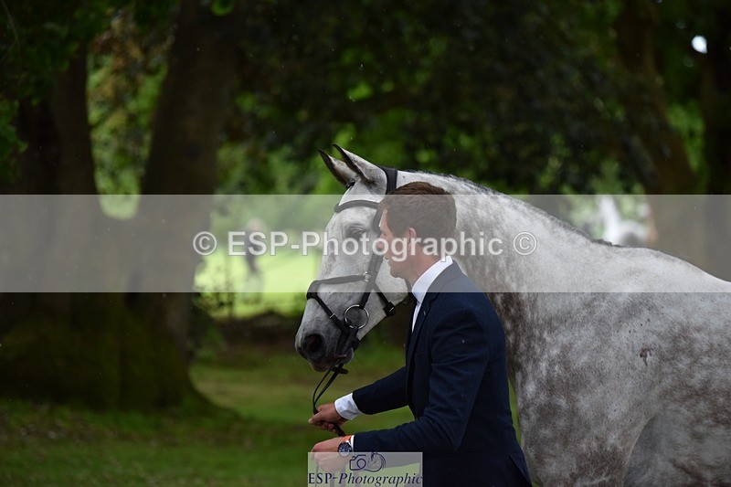 240522-150738-00106 - 369-STARMAN_III-Matthew_Hecking