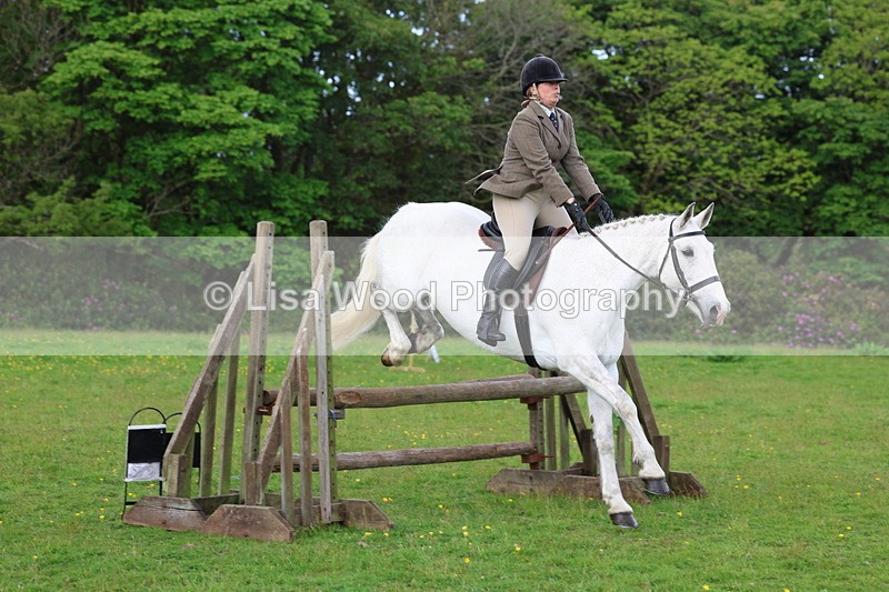 3E7A2553 - Classes 30 and 31: 80cm Working Hunter