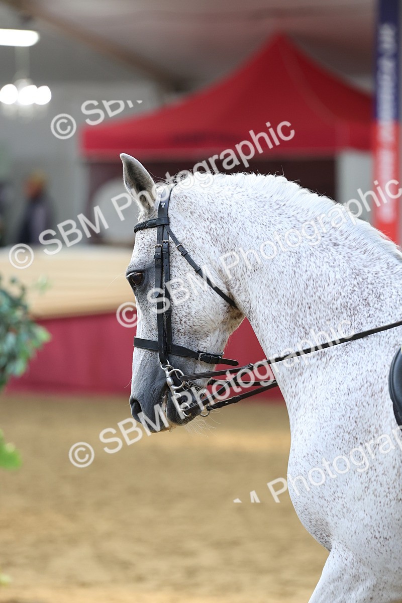 SBM_24155 - Class 905 - Supreme Final - Ridden Veteran