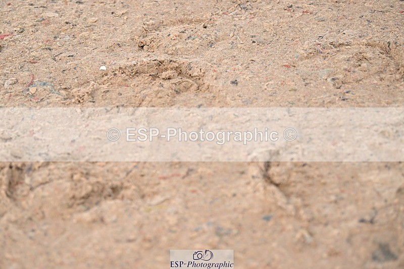 250424-112615-04089 - Cls 17 - 1 Star Silver Tour