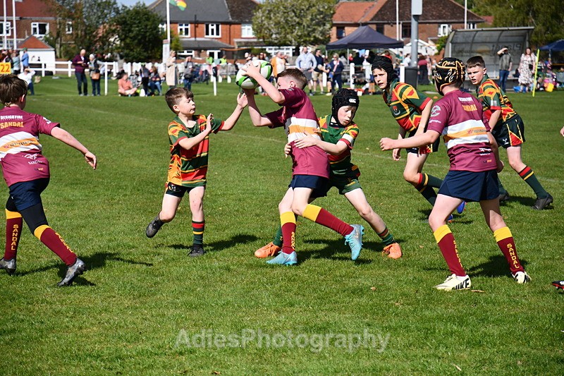  - Selby Rugby Festival 2025