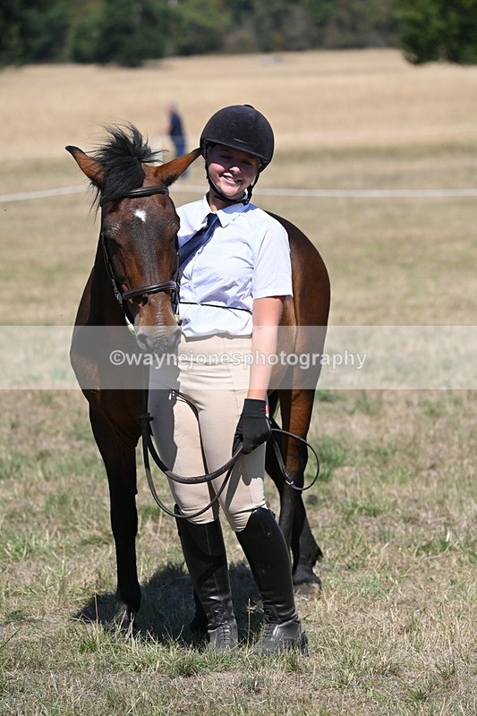 WJ6_8698 - Class 37b Best Loan Pony In-hand