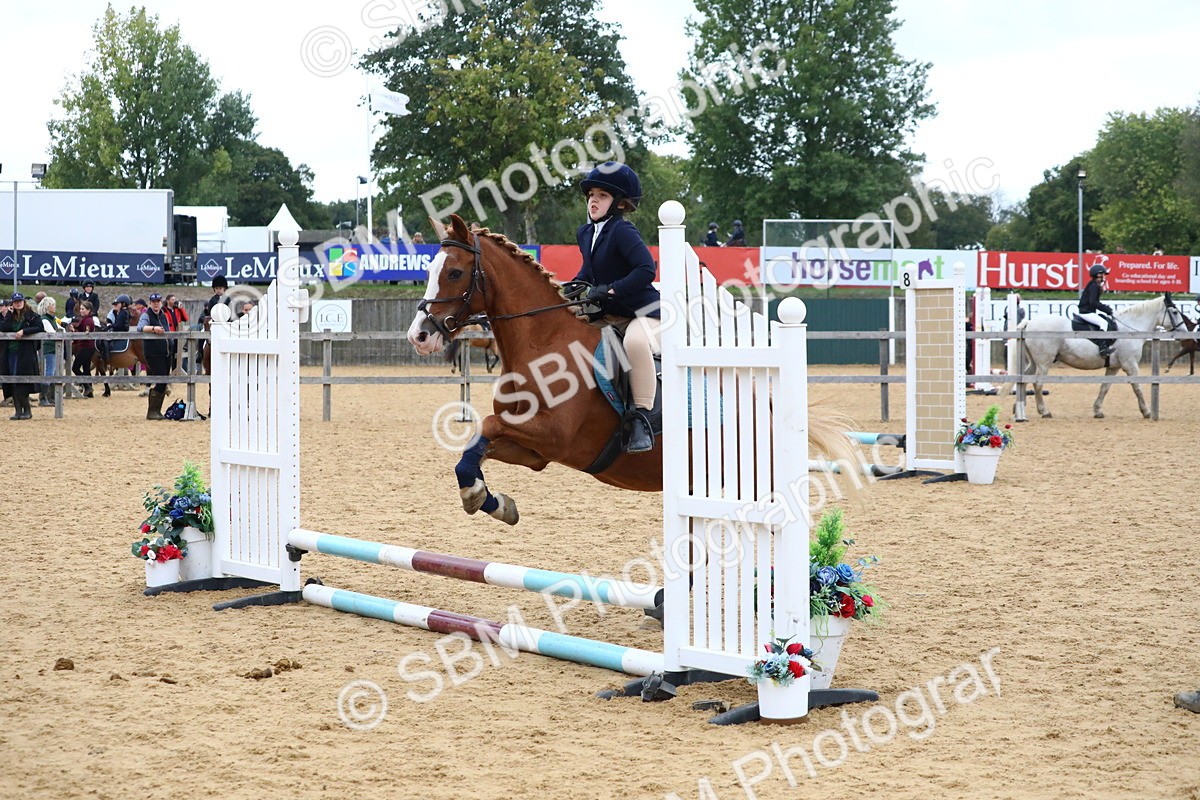 SBM_68273 - J3b - Mini Tour Junior Pony 40cm Championship