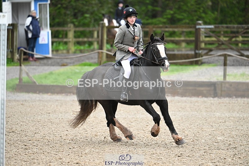 250418A-081231-00043 - NSEA GR 40cm and 50cm