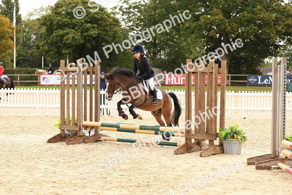 SBM_57782 - J11 - Junior Pony 50cm Championship