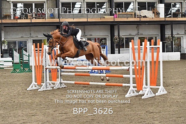 BPP_3626 - FRI CLASS 21 BR NOVICE/90CM