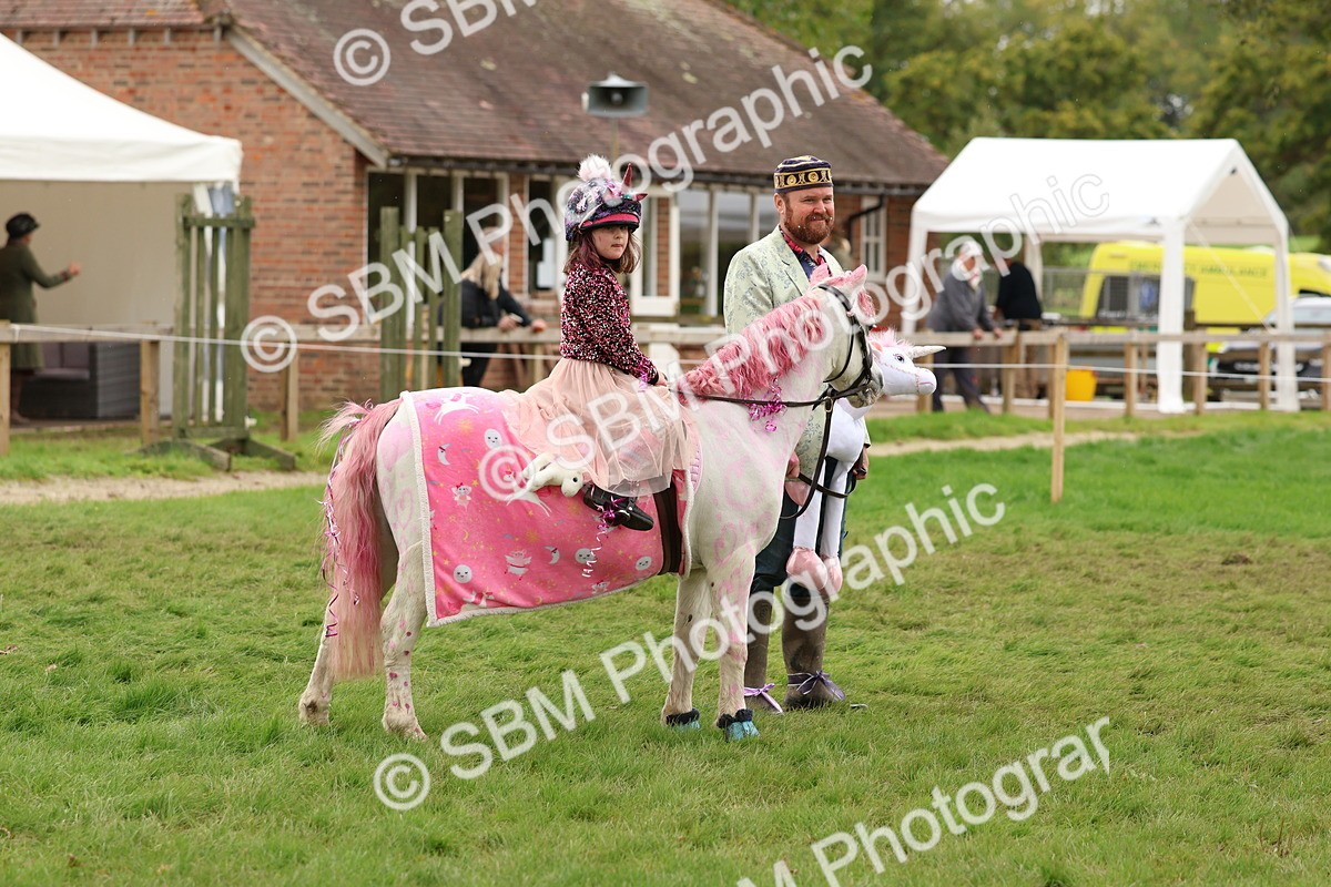 SBM_62160 - S37b - Best Unicorn