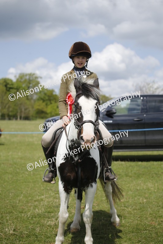 20250427-3805 - Class 14 - Absolute Novice 70cm