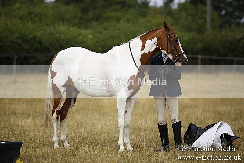 _C7A9544 - BVRC Show 2018 Ring 1