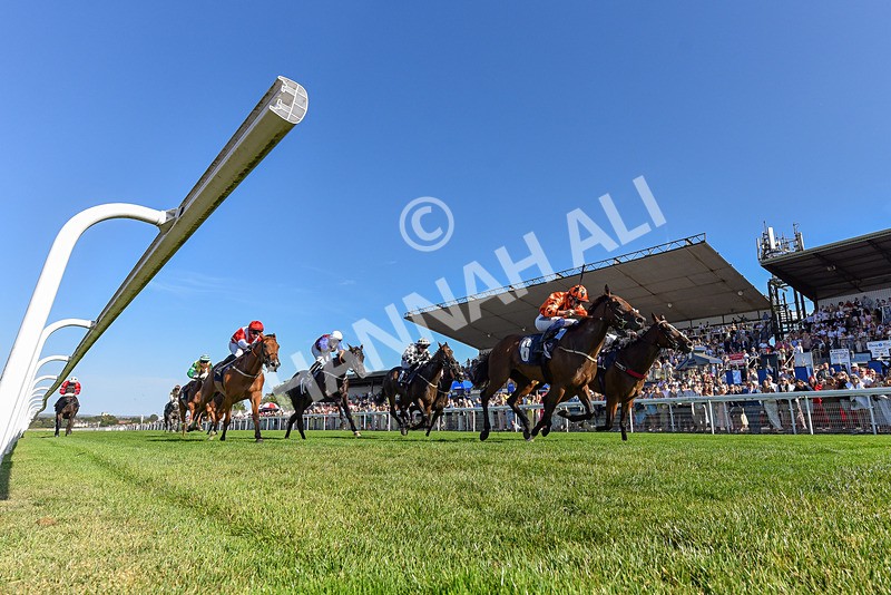 120826-Race 6-Rumble Ruby-5007 - Race 6 16.45pm Nation Radio Yorkshire Handicap