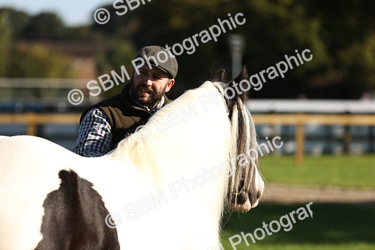 SBM_15908 - S1 - TSR in Hand Horse & Pony Showing