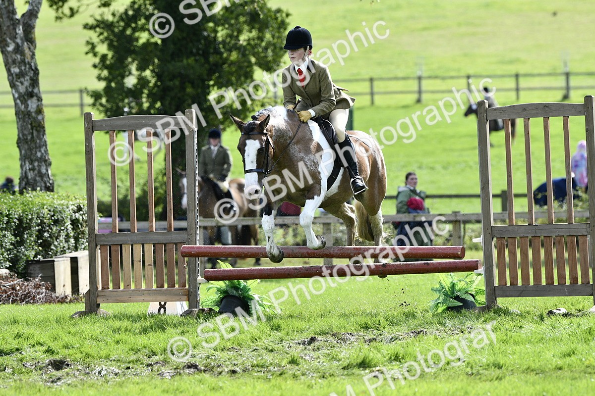 SBM_45694 - S33 - Working Hunter Pony