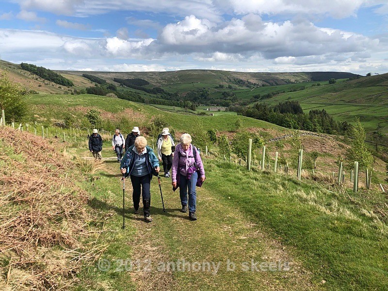 039 On we go the views fantastic - The Nidderdale Way Collection
