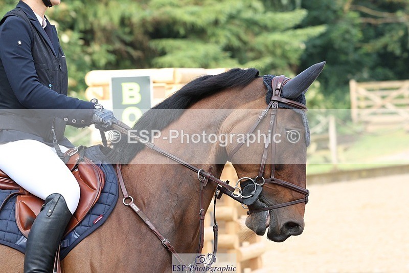 230617-081220-00100 - Cls 08a Pony 1.05