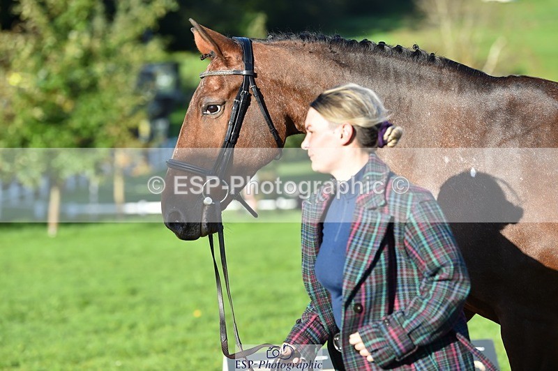 231022-100924-22273 - 482-ODDSPOT.VITAL.ELEMENT-Danielle.Davies-TrotUp+SJ