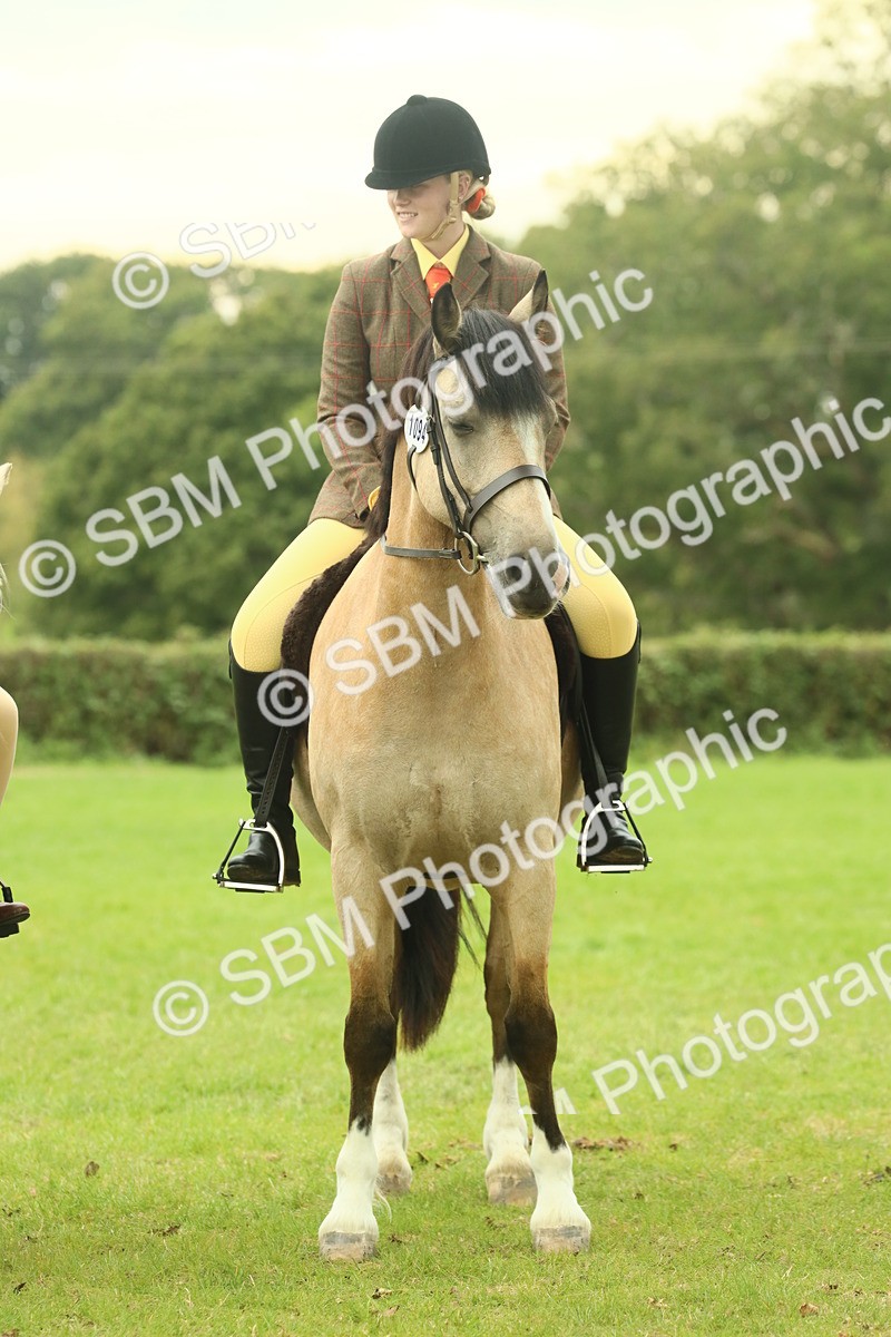 SBM_72209 - S60 - Mountain & Moorland Ridden Large Breeds