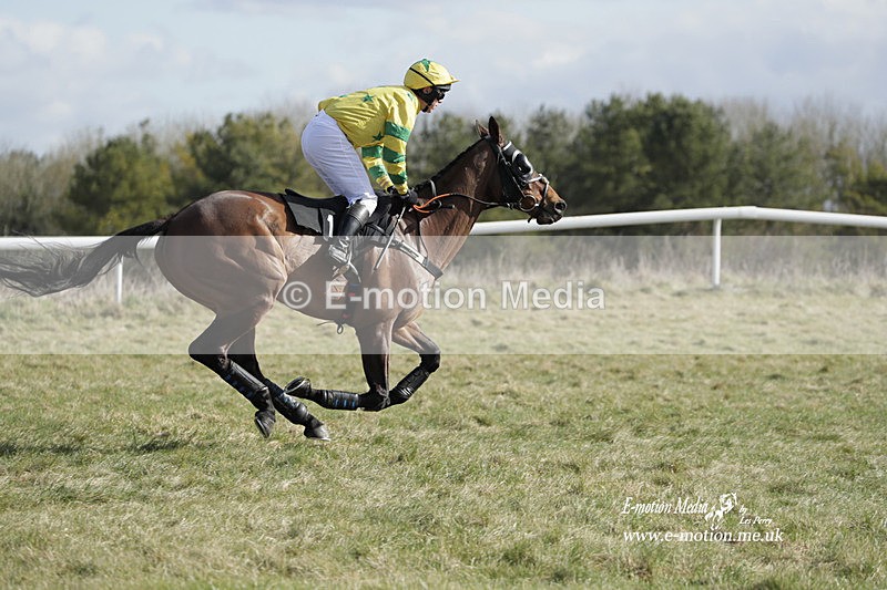 PtP 260223 289 - South & West Wilts Point-to-Point Larkhill 26/02/23