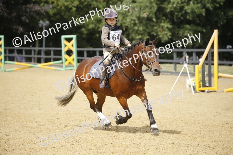 20250622-4088 - 50cm