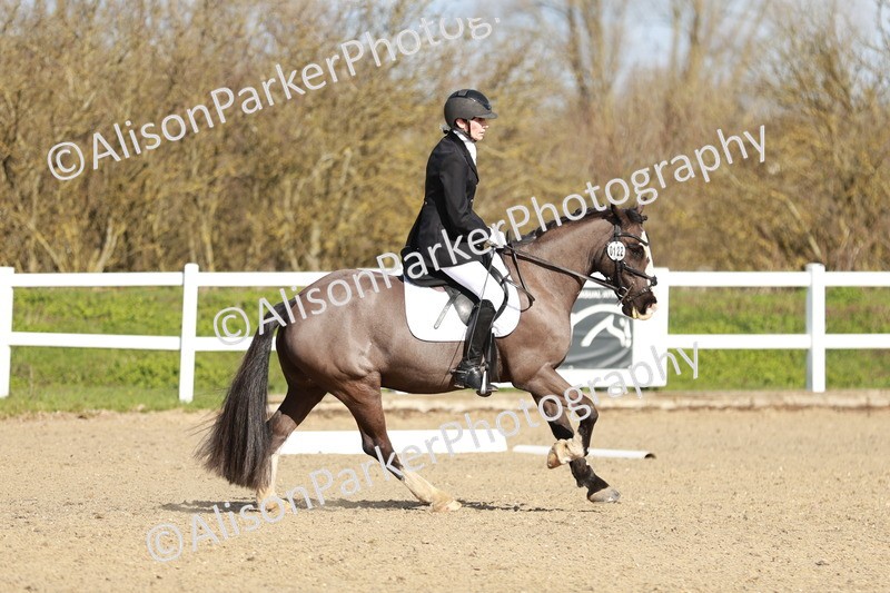 20260314-4354 - DR4 - Prelim 2