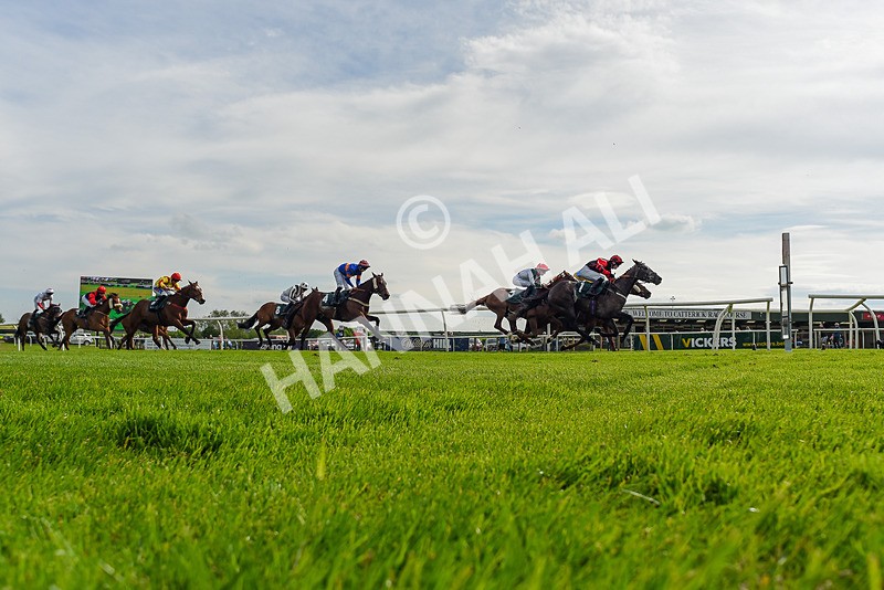 130524-Race 6-Stellarmasterpiece-9538 - Race 6