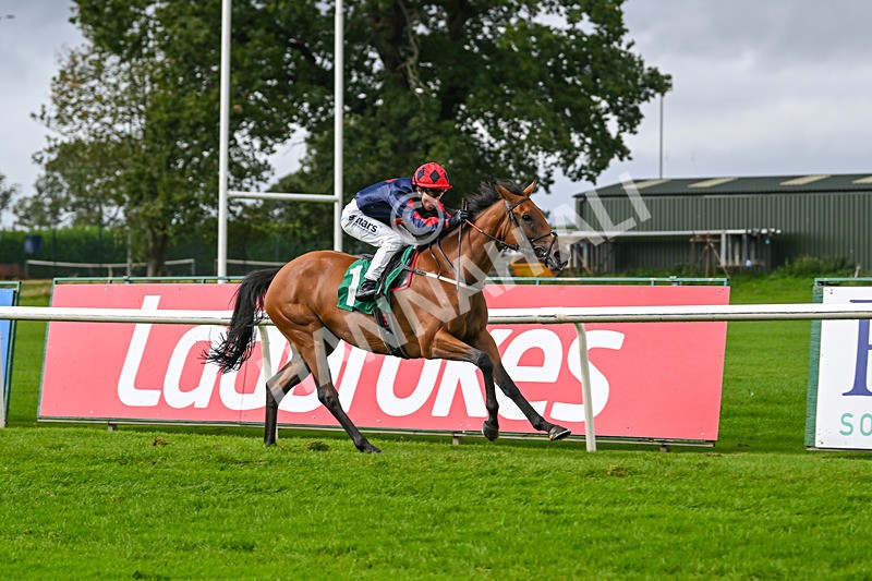 150925-Race 1-Max Of Stars-2208 - Race 1