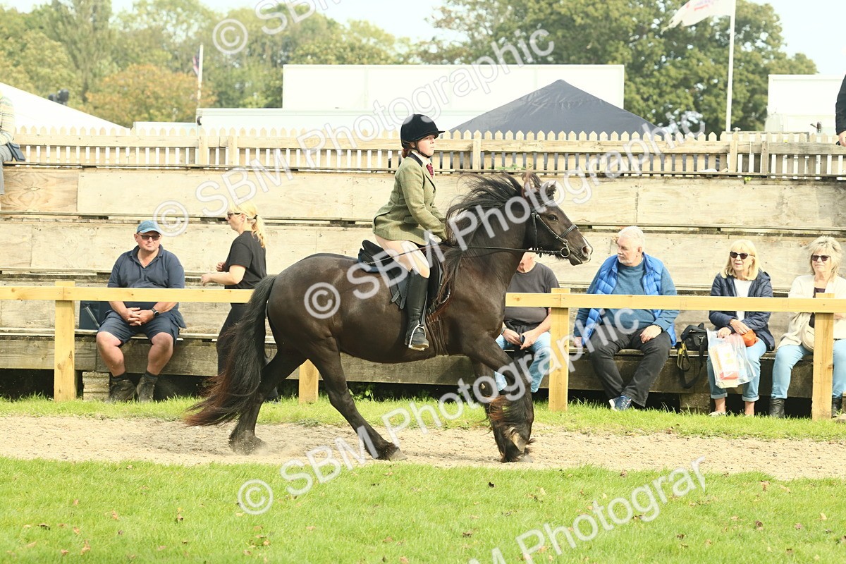 SBM_69362 - S58 - Mini Show Cob Ridden