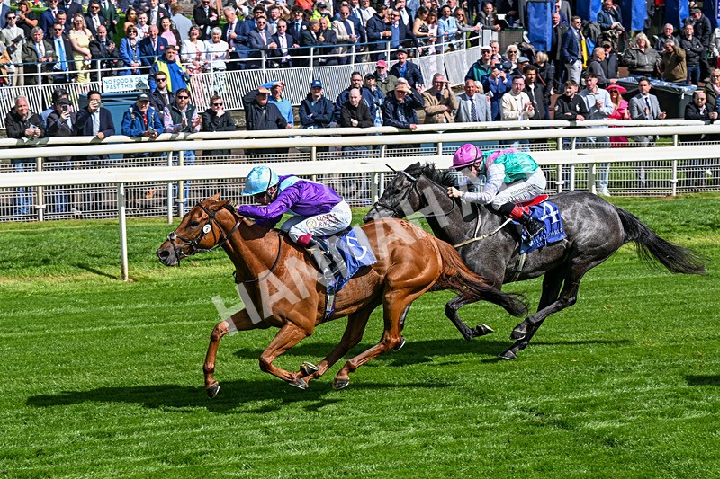140526-Race 4-See The Fire-0214 - Race 4 3.30pm Al Basti Equiworld Dubai Middleton Fillies' Stakes
