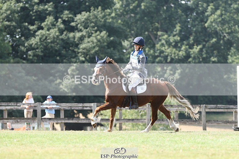 250823A-134312-31356 - Arena D