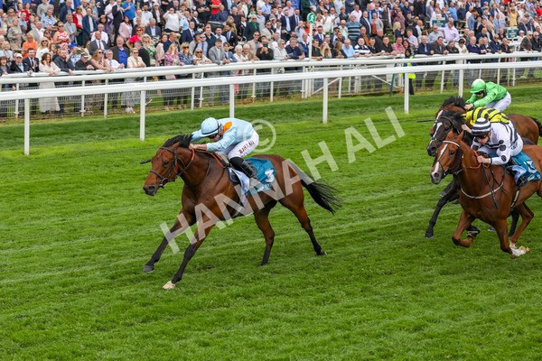 160524-Race 1-Clarendon House-1765 - Race 1 2.15pm Lindum York Handicap