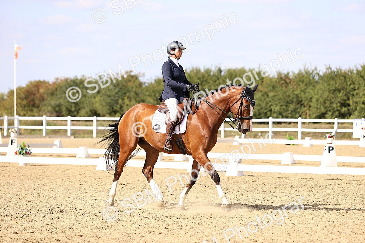 SBM_015196 - Class 8 - Medium 5