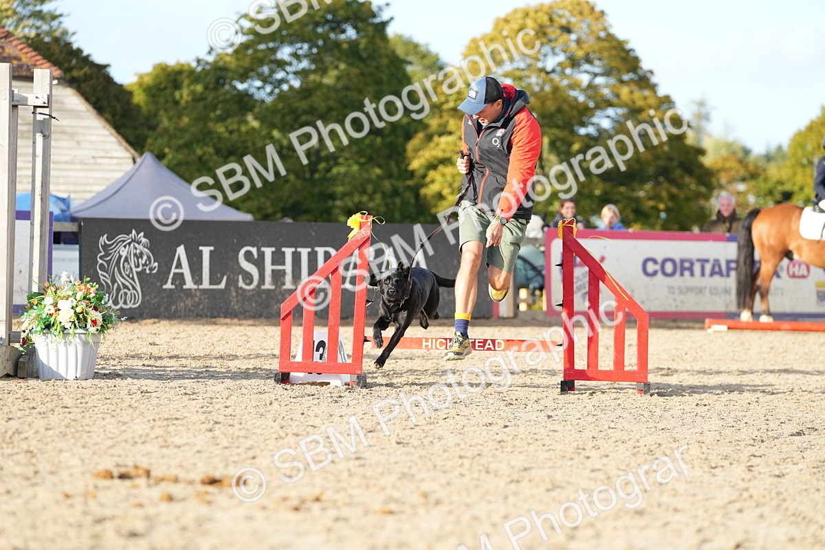 SBM_29371 - J44 - Horse & Hound Open 70cm