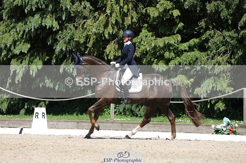 230526-145723-06592 - 376-DIRECT_BALLYTARSNA_DUCAREL-Jodie_Amos-WEDTrotUp+DR